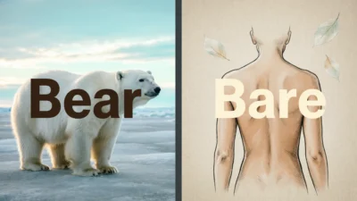 Bear or Bare